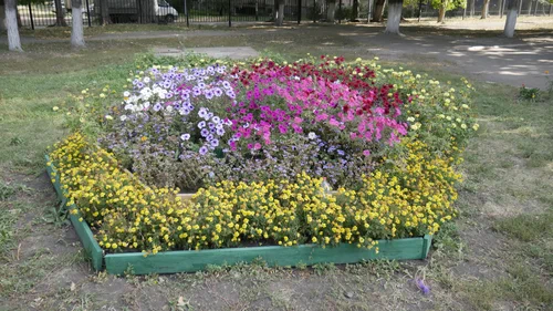 Фотографии школы.